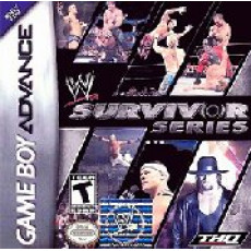 W Survivor Series W Survivor Series